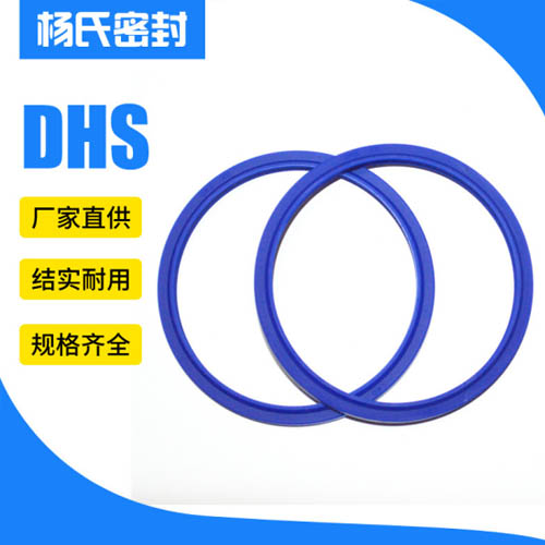 DHS防尘密封圈